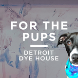 🐾 Tie-Dye Dog Clothes Class 🎨